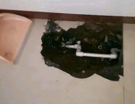 成华卫生间测漏水多少钱